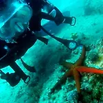 桑斯旅馆 诺维·维诺多尔斯基