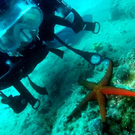 桑斯旅馆 诺维·维诺多尔斯基