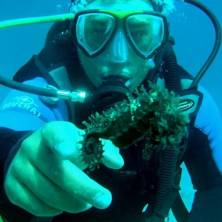 招待所 桑斯旅馆