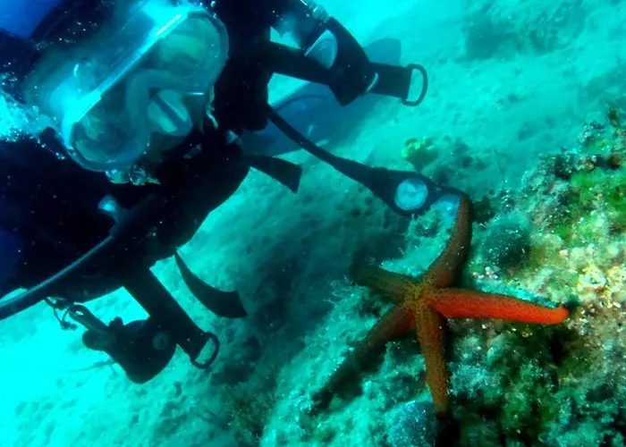 Sunce Novi Vinodolski