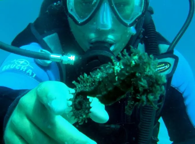 Gostinjska kuća Sunce